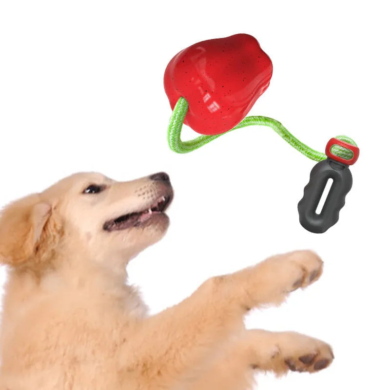 Green apple-shaped plastic dog toy with food-dispensing hole and textured chewable surface