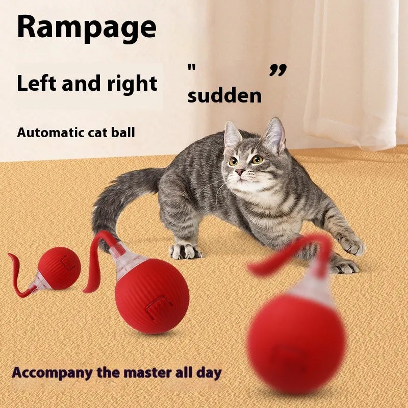 Interactive electronic cat toy ball with coloured indicator lights for different play modes