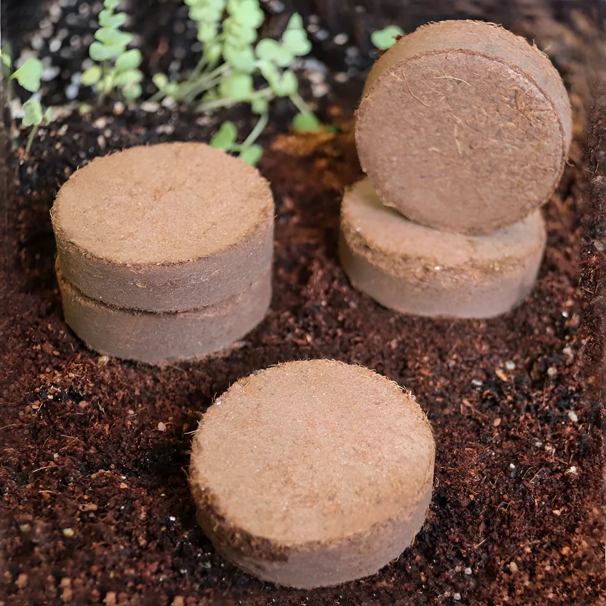 Nutrient soil medium blocks for vegetable planting and seedling cultivation in various sizes.