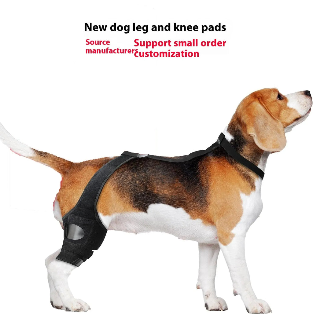 A neoprene dog hind leg knee brace assist strap shown in sky blue, wrapped around a canine leg model.