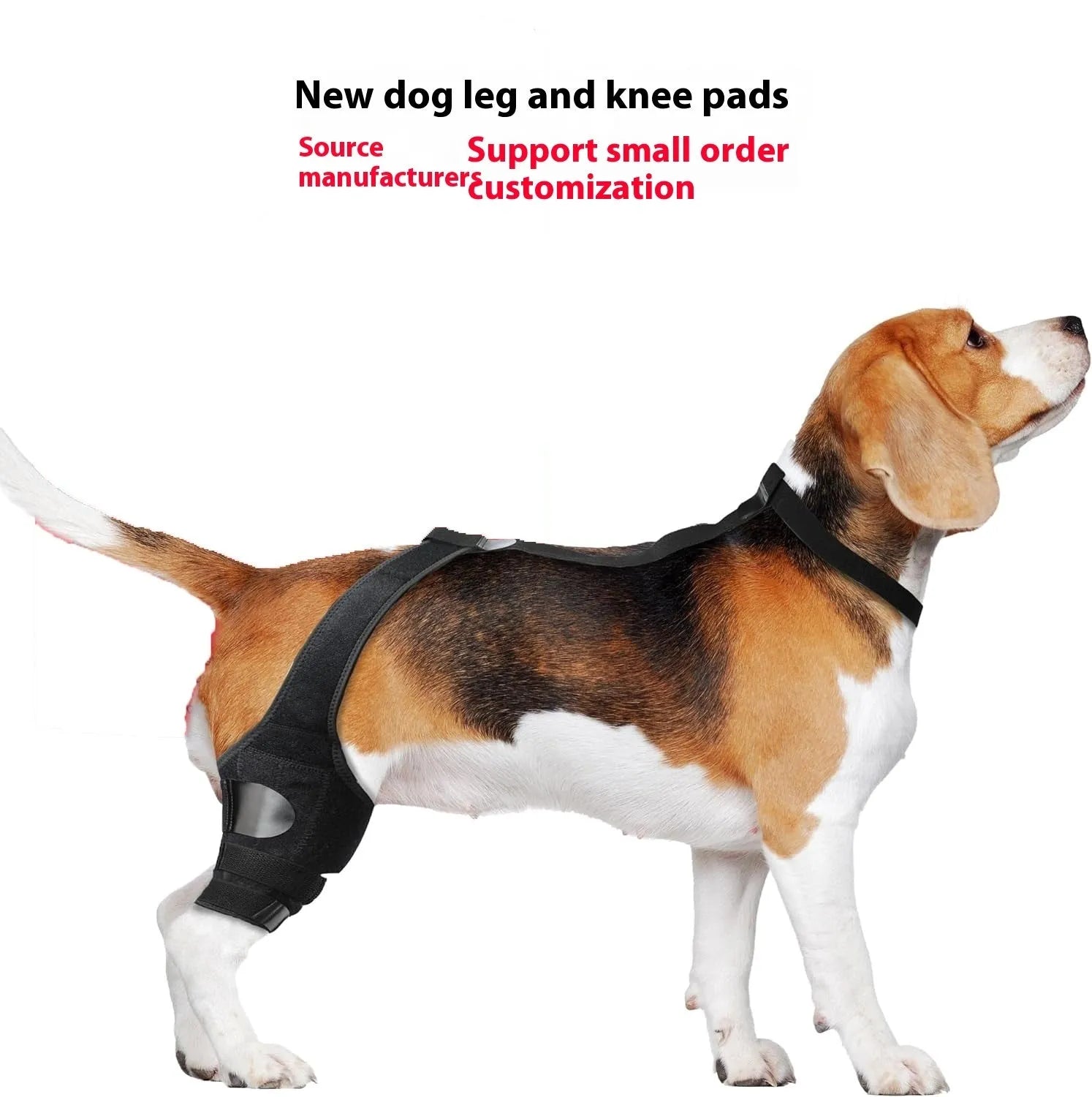 A neoprene dog hind leg knee brace assist strap shown in sky blue, wrapped around a canine leg model.