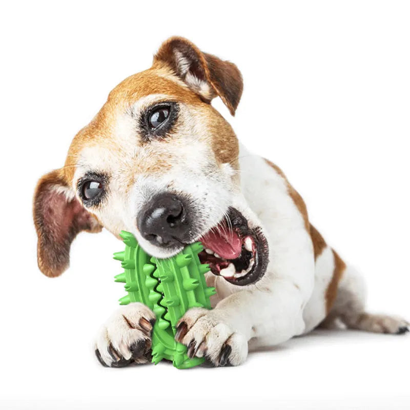 Green or yellow cactus-shaped rubber dog chew toy for dental care, shown with treat channel.