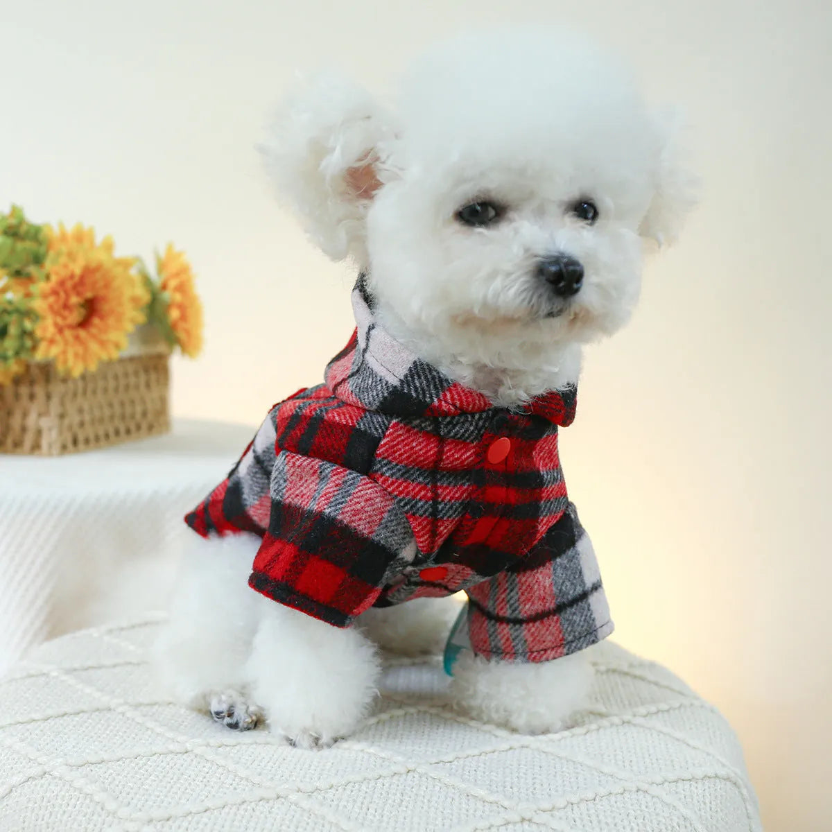 Red plaid pet trench coat for autumn and winter warmth with size options XS to XL