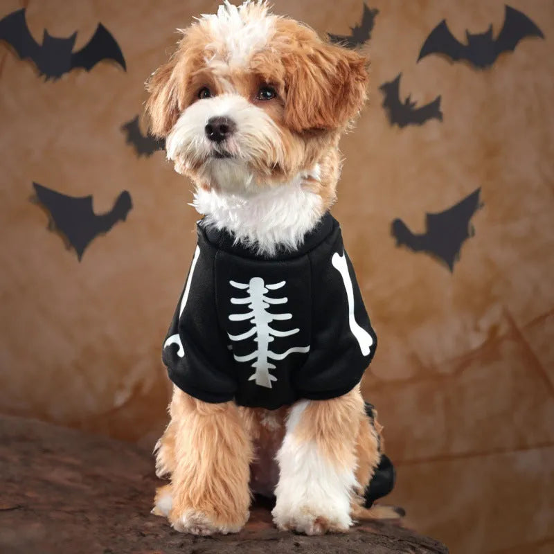 Halloween dog costume with luminous skull bones design on four-legged polyester garment