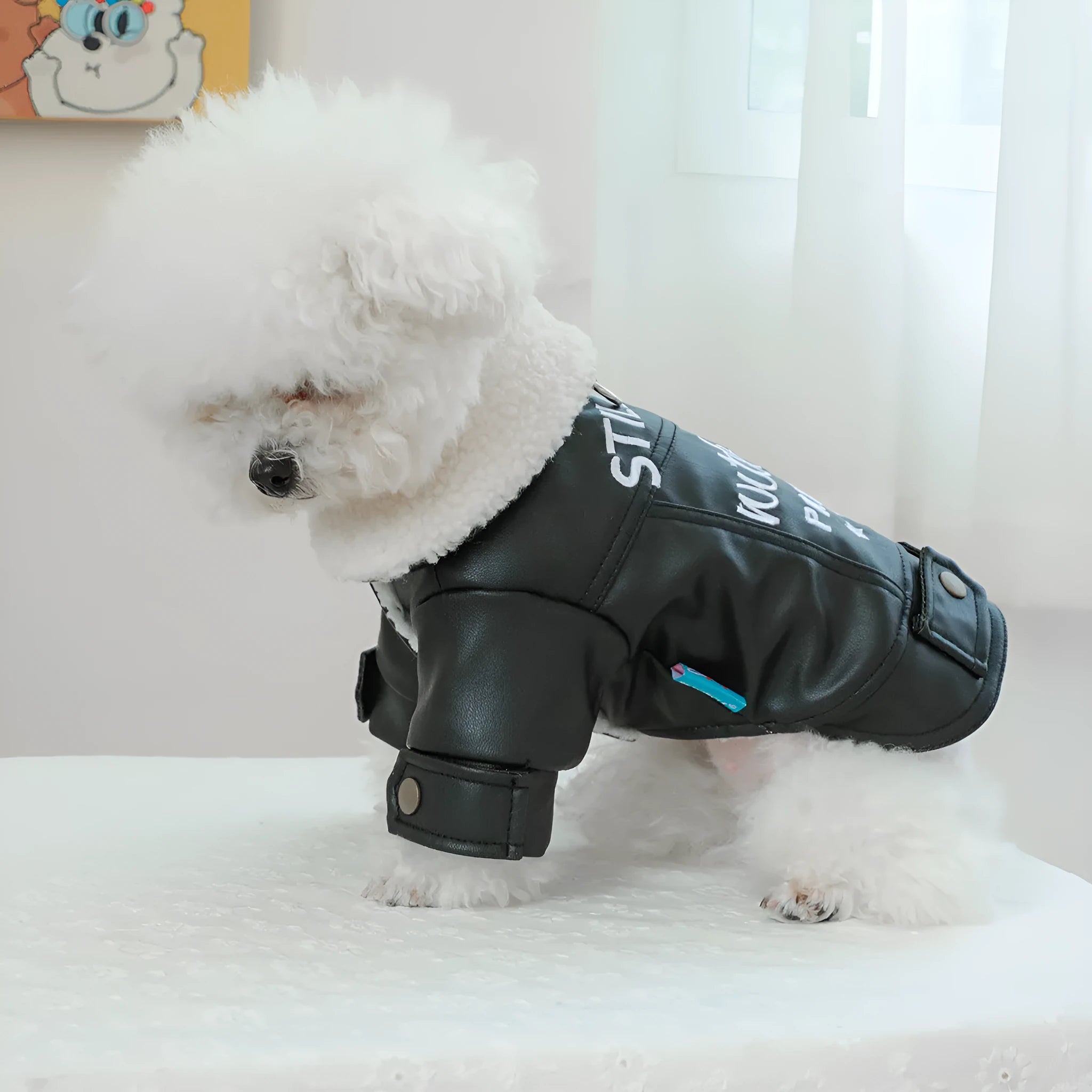 Large fur coat dog clothing with fleece lining and padding in beige, black or suede style