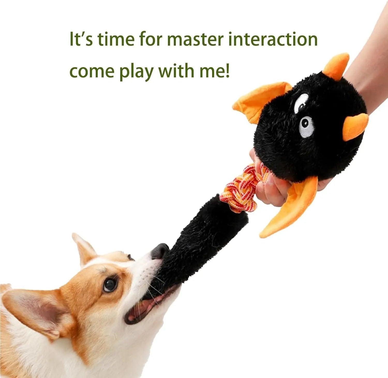 Soft plush dog toy with cartoon design, shown in green, red, or black colour.