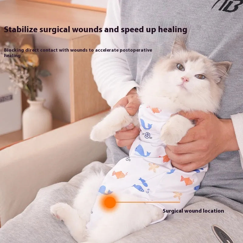 Cat wearing a blue printed polyester recovery suit with Velcro fastenings after sterilisation surgery.