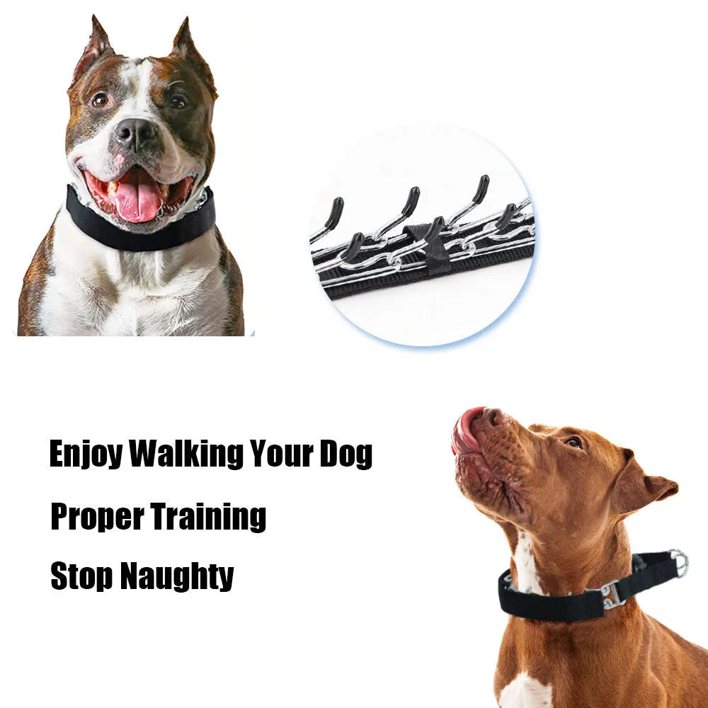 Dog training chain collar with a soft black neoprene cover shown on a size medium setting.