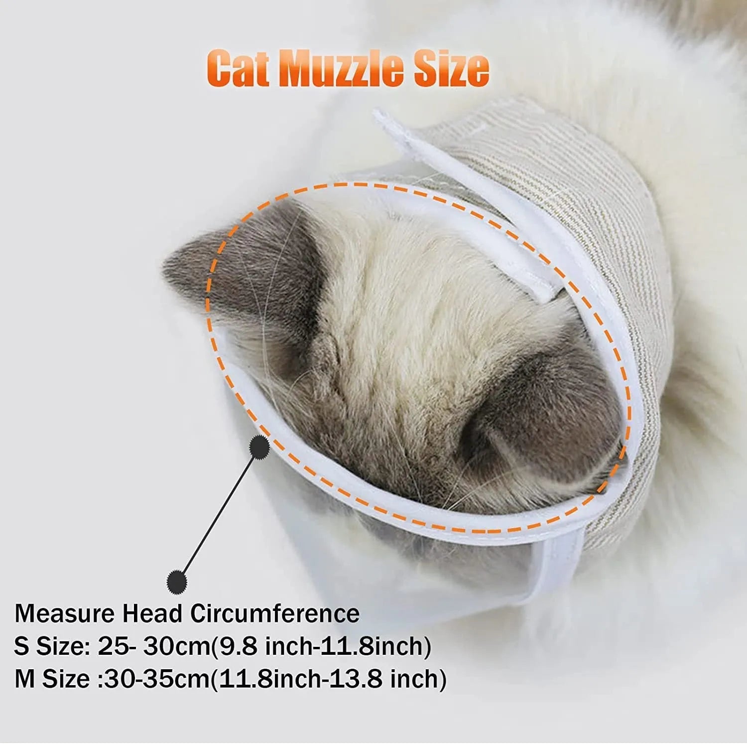 Clear PVC cat muzzle with cotton lining shown in S and M sizes for grooming and training