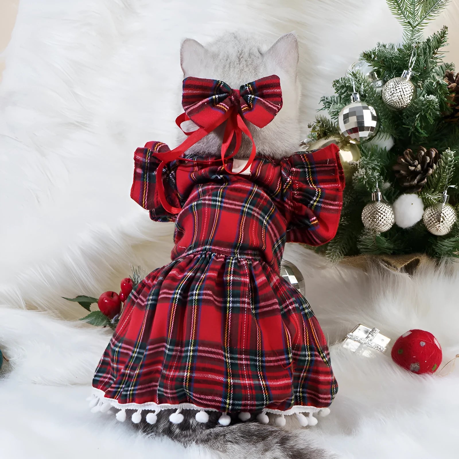 Pet wearing red Christmas tartan skirt with matching bow tie head flower