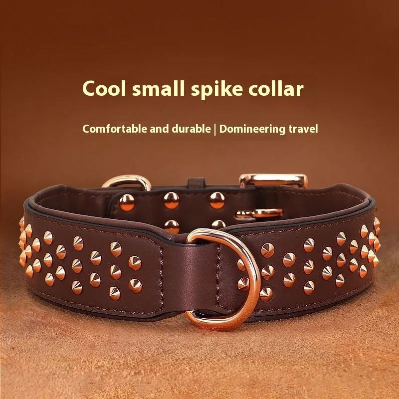 Leather dog collar with metal rivets in chocolate colour, shown with a D-ring and buckle.