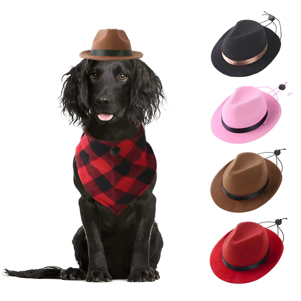 Small pink felt hat for a dog, shown as a sun protection and costume accessory.