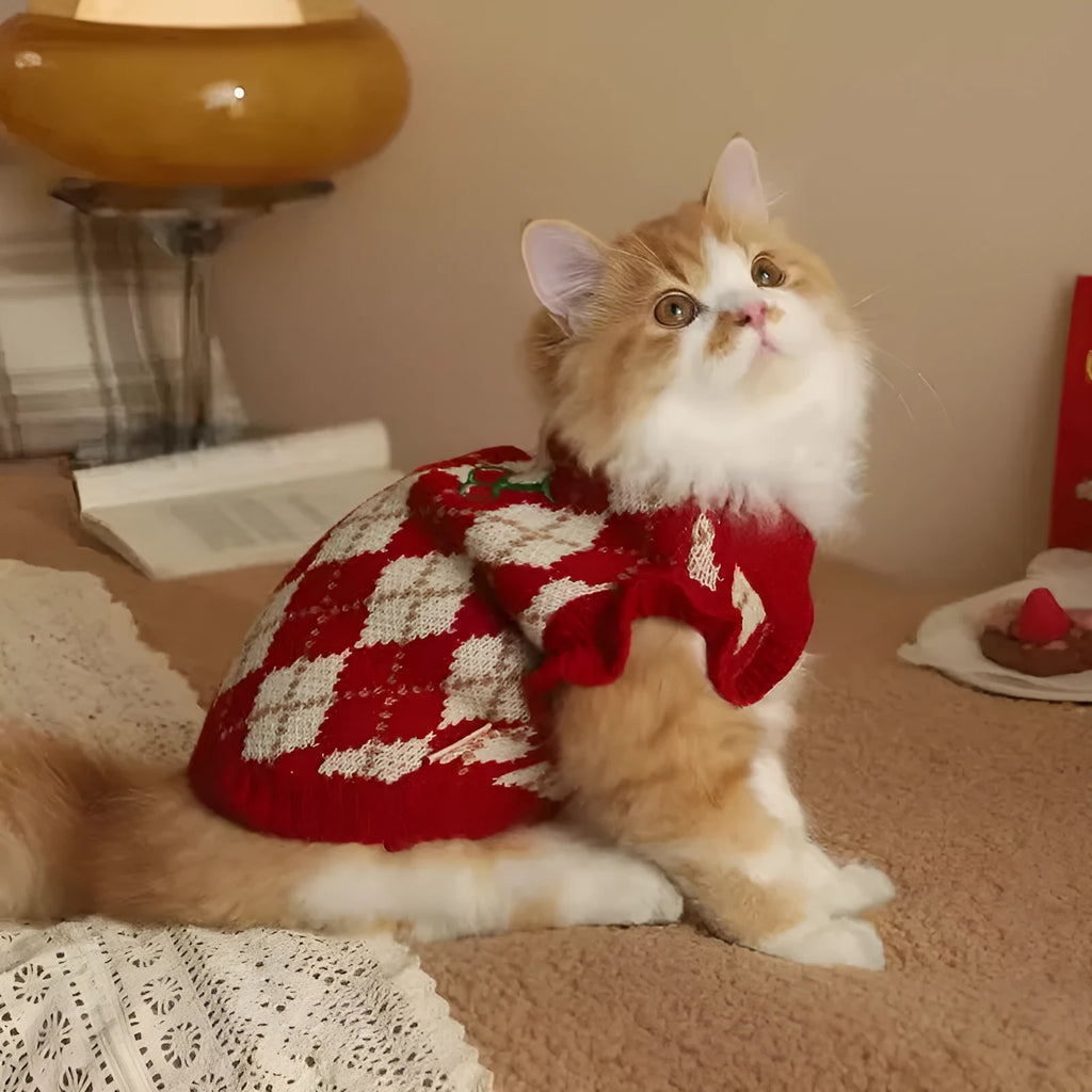 Red cat sweater with diamond embroidery cherry pattern shown in various sizes