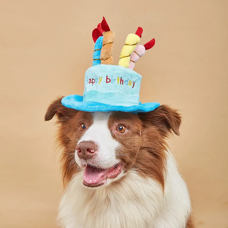 Blue plastic birthday party hat for a small to medium sized dog