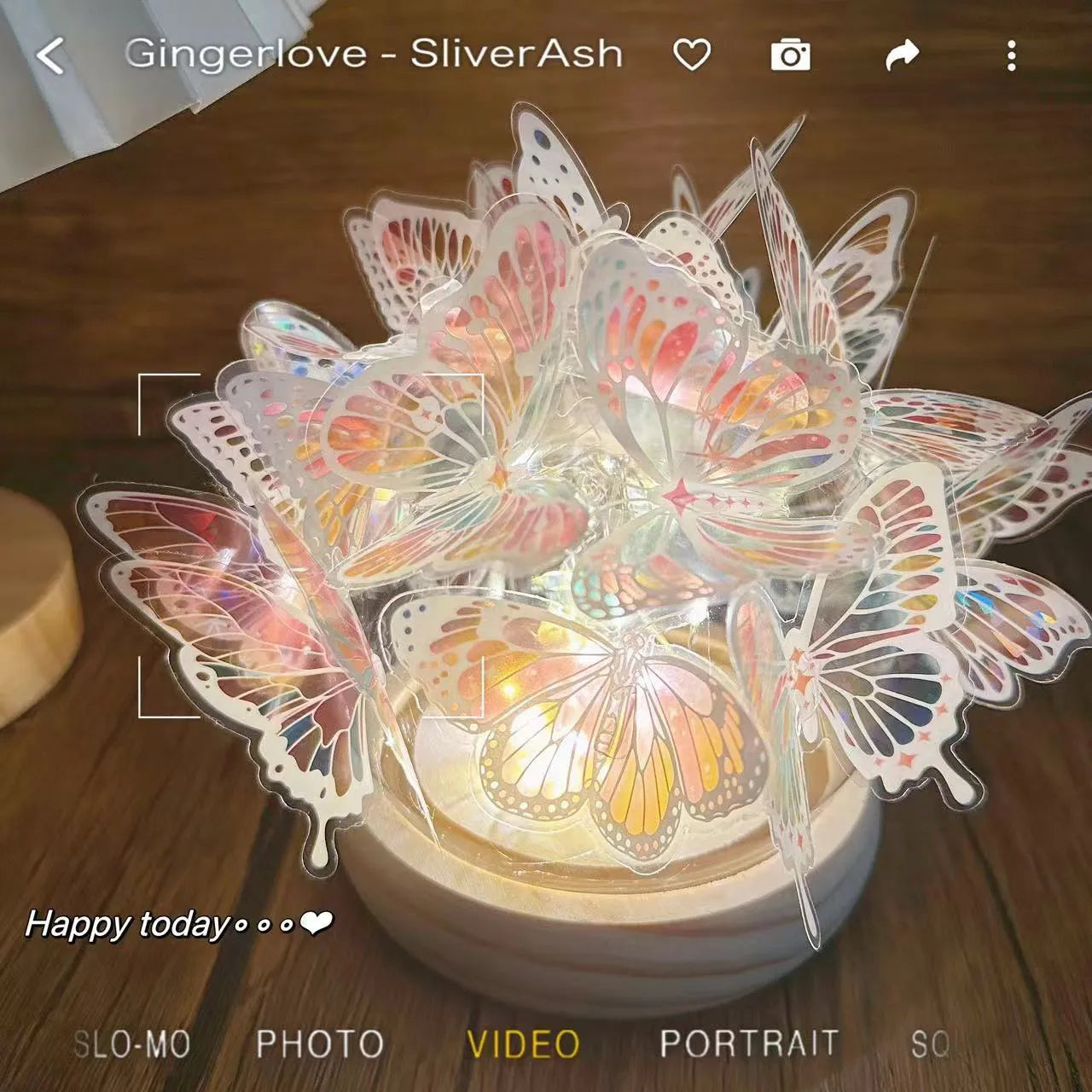 Butterfly night lamp with glass shade on raw wood base for bedside table lighting