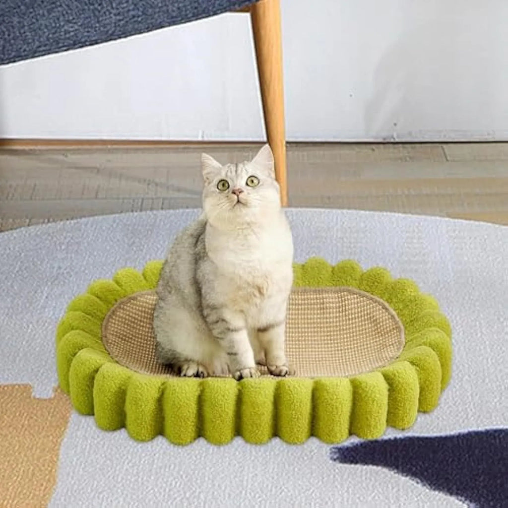 Green oval cat scratch pad bowl with sisal scratching surface and built-in cat bed