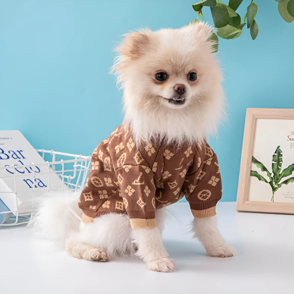 Wool dog sweater in monochrome or two-tone colours for autumn and winter wear