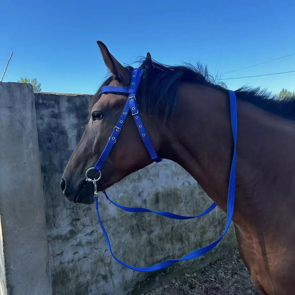 Black large fibre horse halter rope 1.3m for equestrian riding and leading
