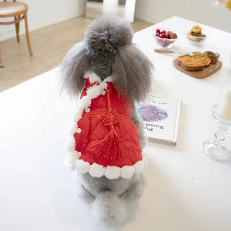 Red cotton pet coat with Chinese knot collar for dog or cat during Christmas or Chinese New Year