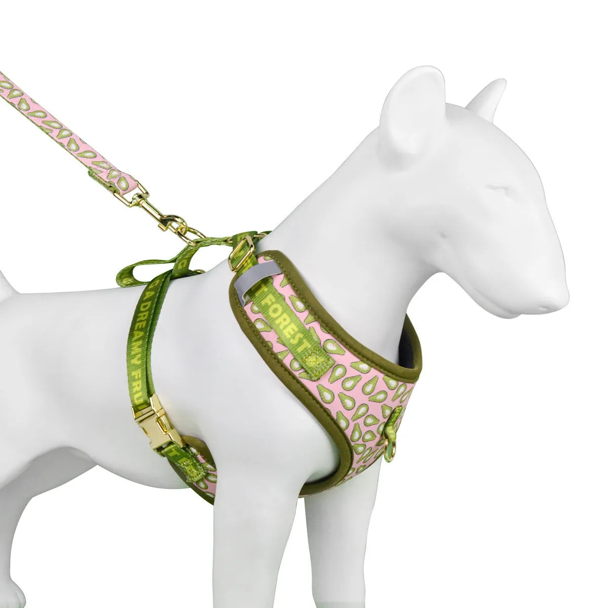 Summer colours dog harness and leash set for medium large dogs chest-back design
