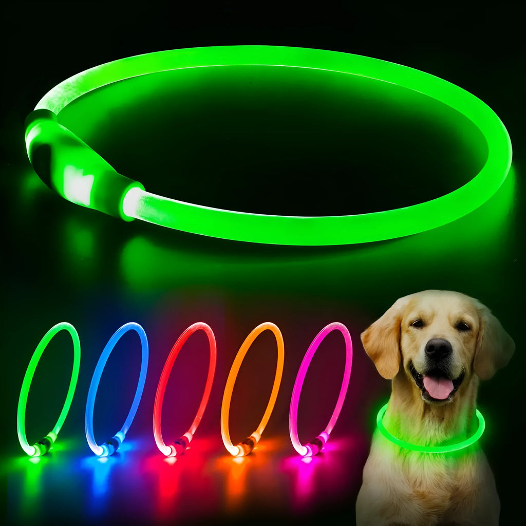 USB rechargeable LED dog collar showing blue illuminated light and adjustable 70cm TPU strap