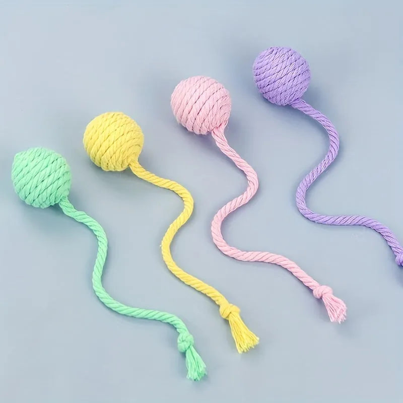 Colourful cat toy ball with an attached rope and built-in bell for kittens, shown in green, pink, purple, and yellow.