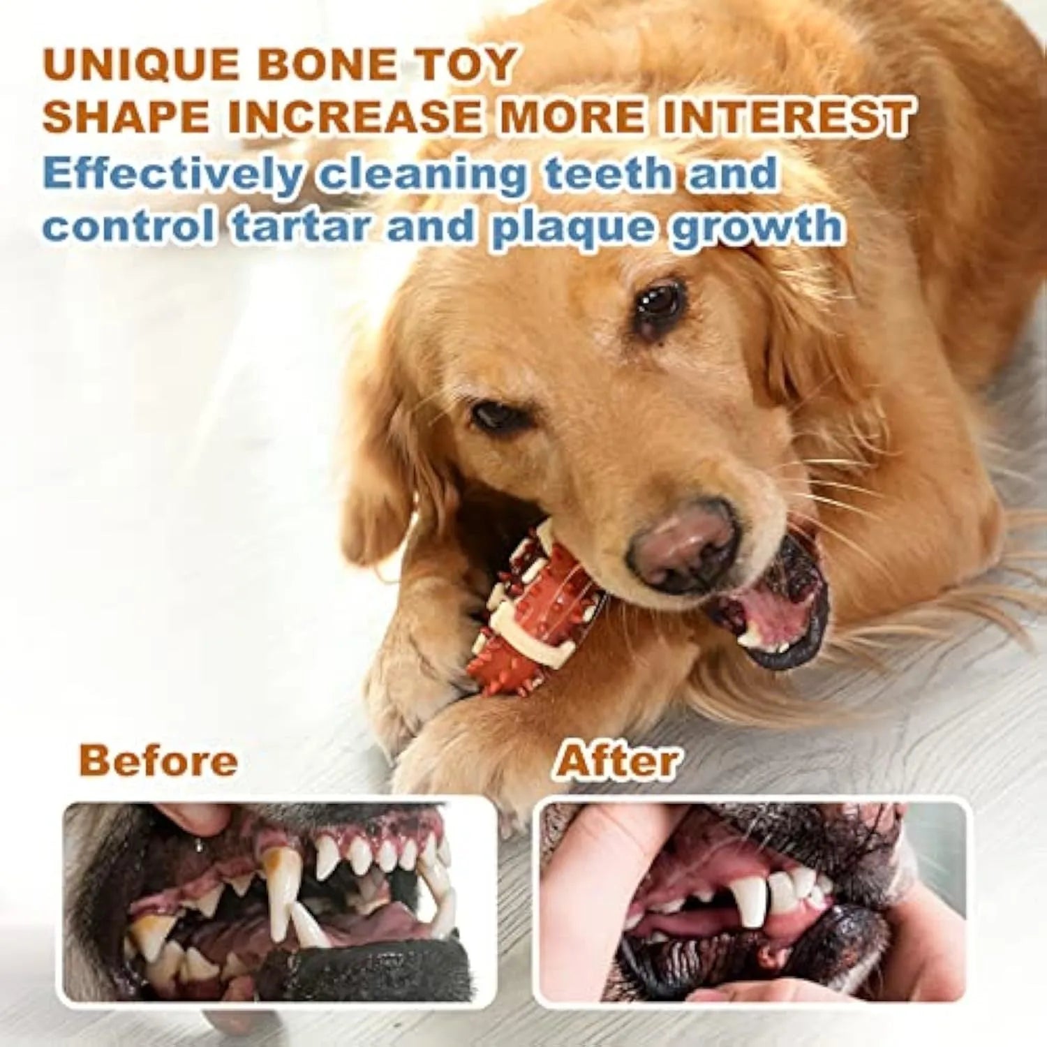 Bone-shaped natural rubber dog molar chew toy shown in two different sizes for teeth grinding.