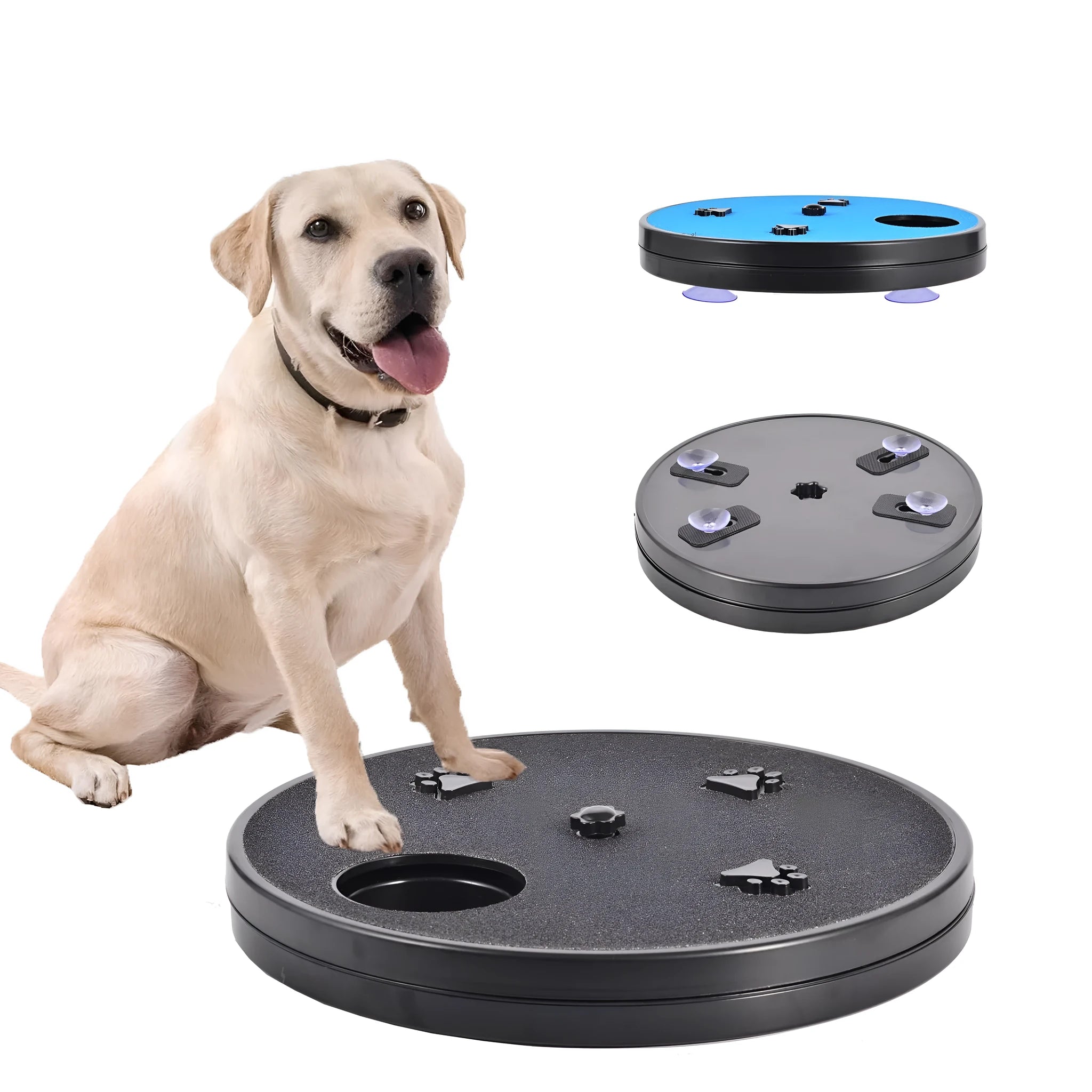 Square dog nail file board with rotating top cover and suction cup base in blue colour