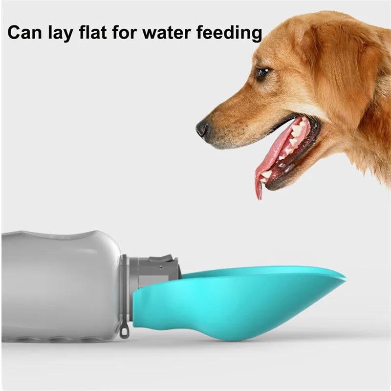 Blue grey portable 800ml dog water bottle with foldable drinking bowl and wrist strap.