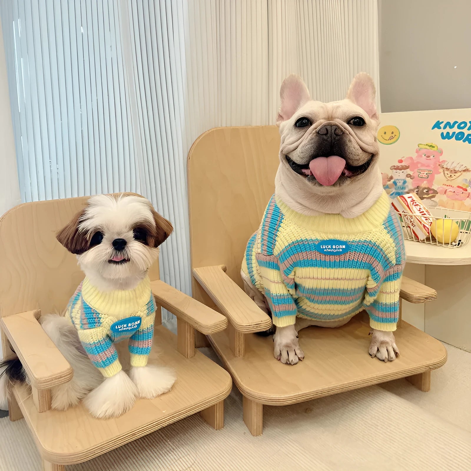 Blue and yellow striped wool knit sweater for a small dog on a white background.