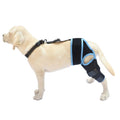 A neoprene dog hind leg knee brace assist strap shown in sky blue, wrapped around a canine leg model.