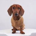 Pet Christmas mink sweater in green on a dog, casual style, soft lining for warmth