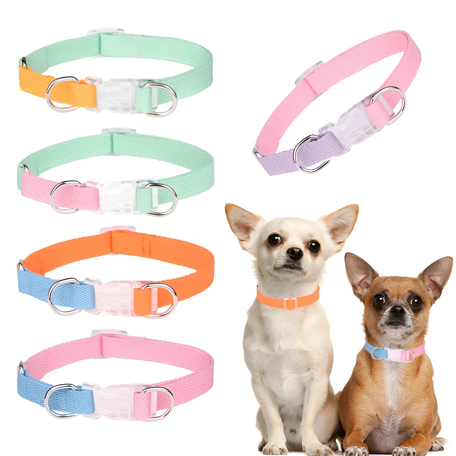 Polyester ribbon dog collar, lead, and chest strap set in a green and pink colour combination.