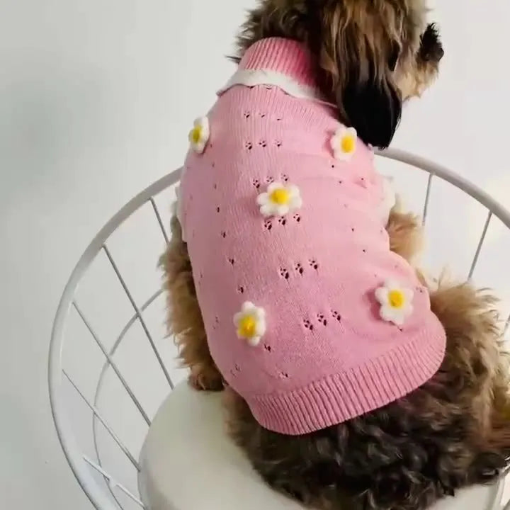 Green knitted sleeveless dog sweater vest with flower pattern on a small dog.