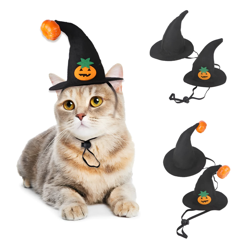 Embroidered cloth pet Halloween hat showing pumpkin design on cat