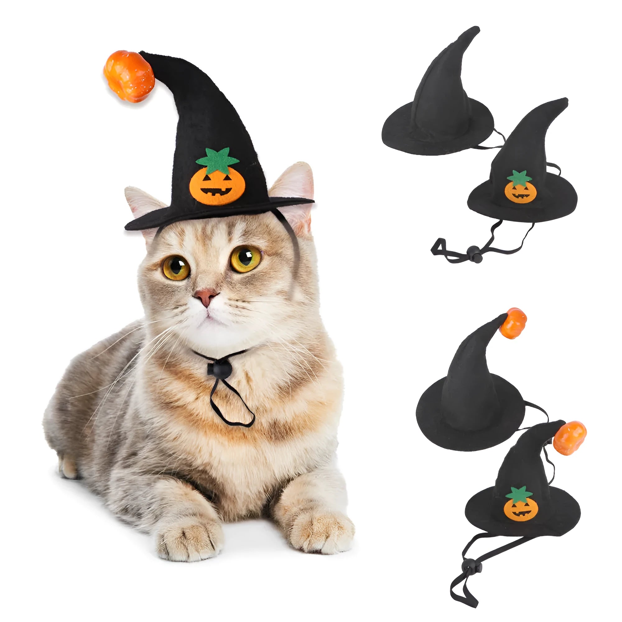 Embroidered cloth pet Halloween hat showing pumpkin design on cat