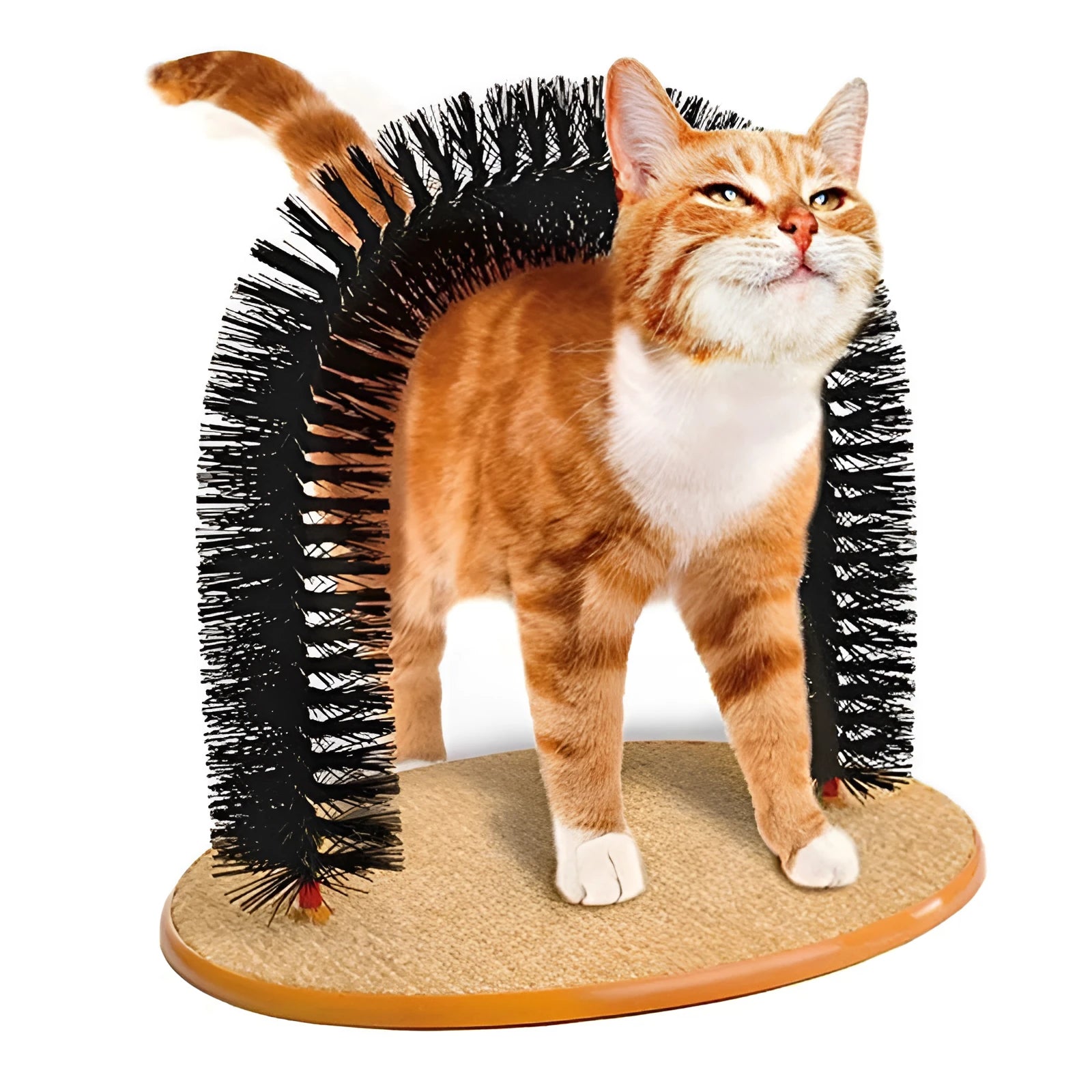 White plastic cat grooming arch with integrated brush bristles, serving as a scratcher and self-grooming toy.
