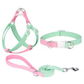 Polyester ribbon dog collar, lead, and chest strap set in a green and pink colour combination.