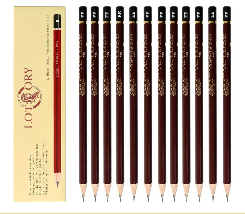 Professional charcoal pencil art set with multiple hardness grades and soft carbon sticks for sketching