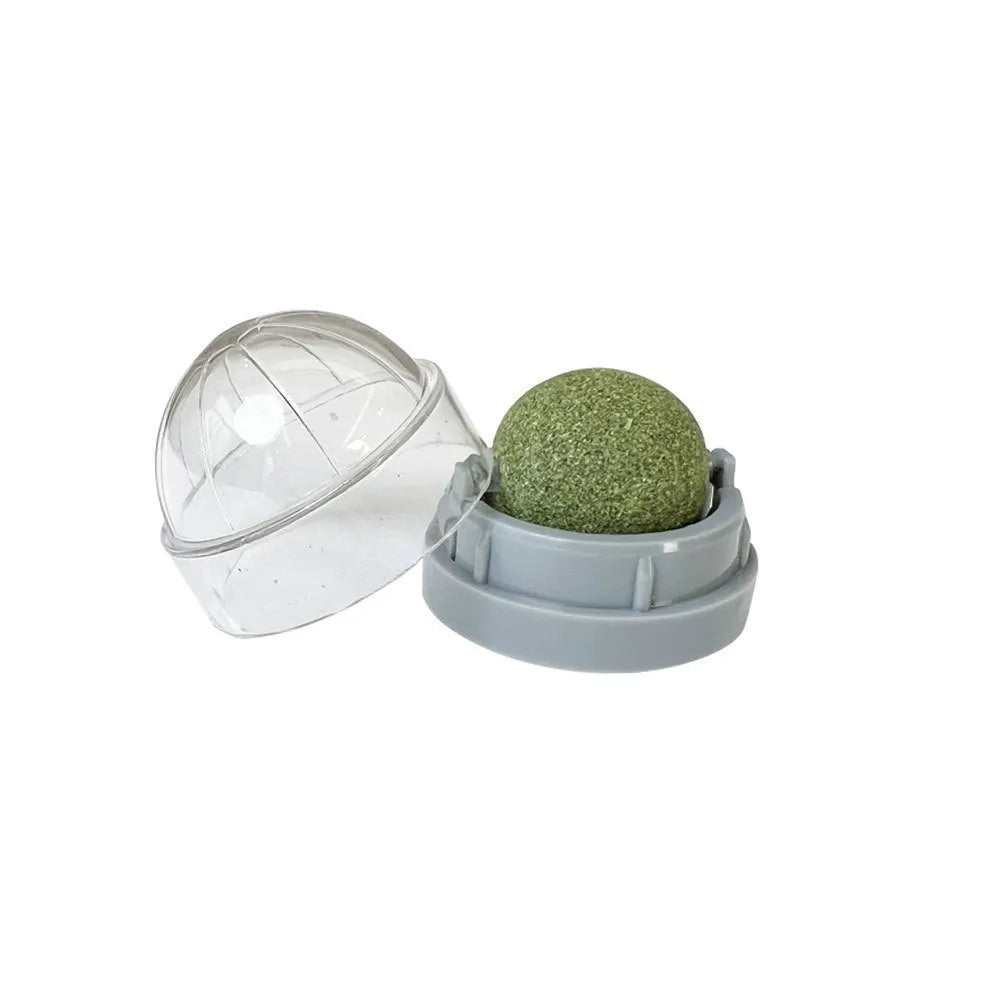 Plastic catnip ball toy in various colours with textured surface for molar teeth cleaning