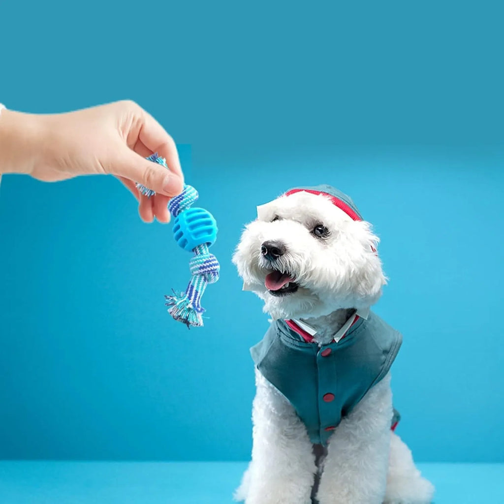 Set of colourful blue, green, orange, pink, and red dog chew toys with rope textures for dental health.