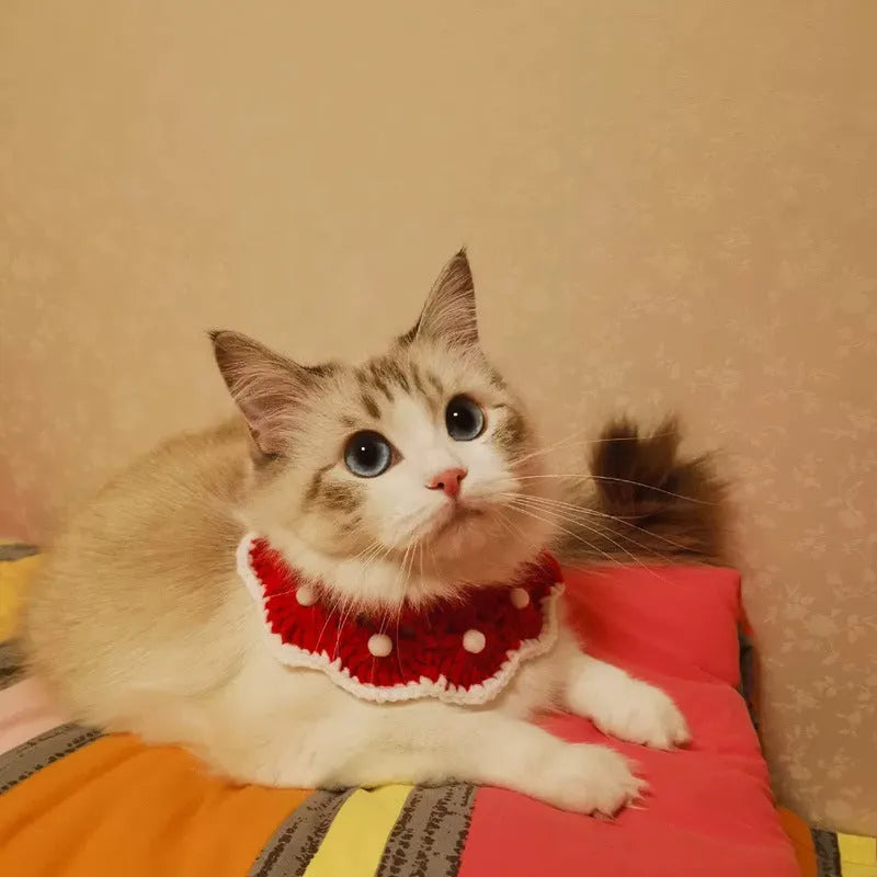 Knitted milk cotton pet collar with cartoon pattern in custom colour option for cats dogs rabbits