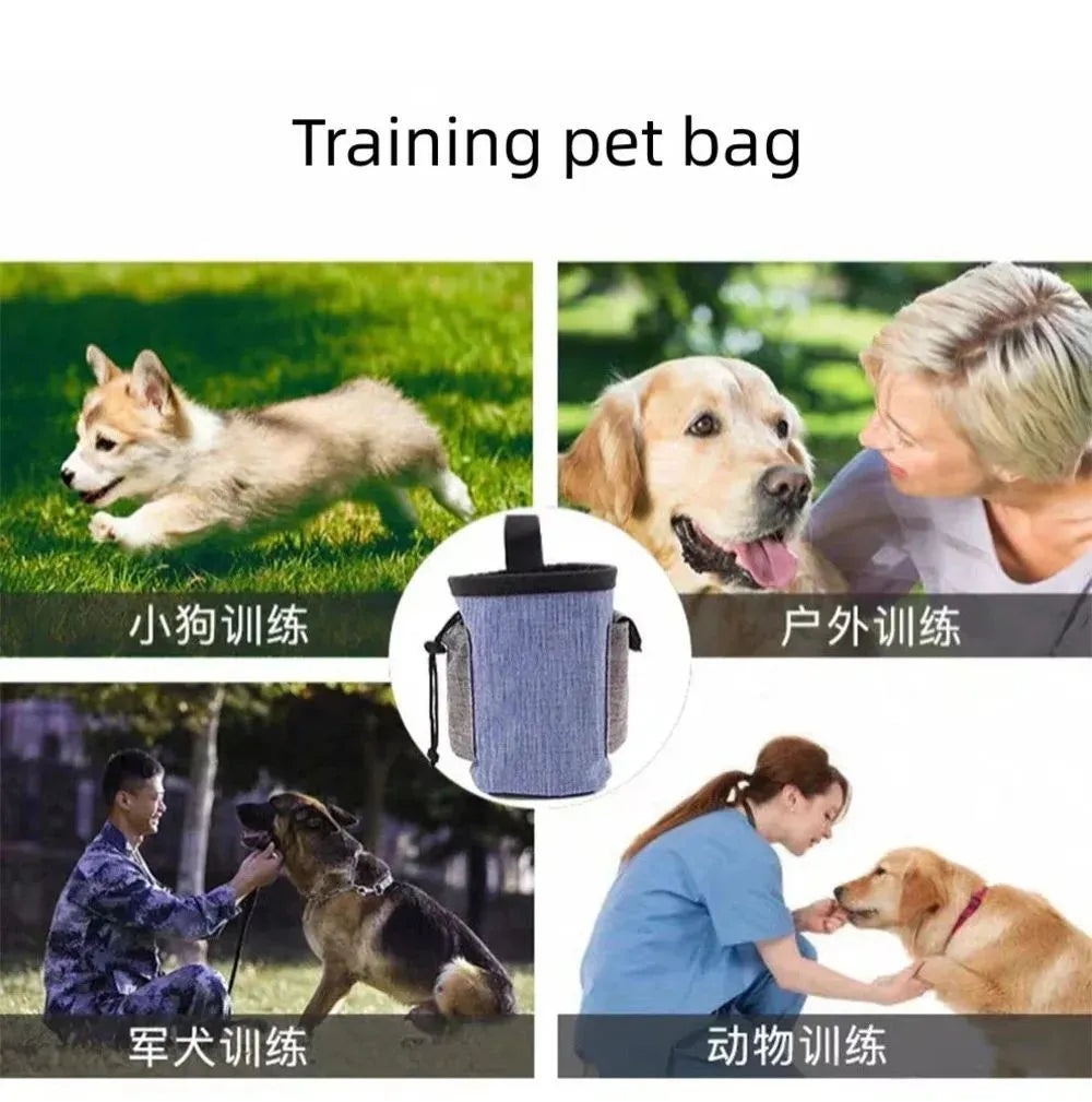 Waterproof pet training waist bag with adjustable belt and side pockets for keys and waste bags