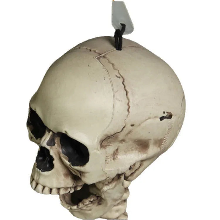 Full-length plastic skeleton prop standing at 170 cm height with detailed skull.