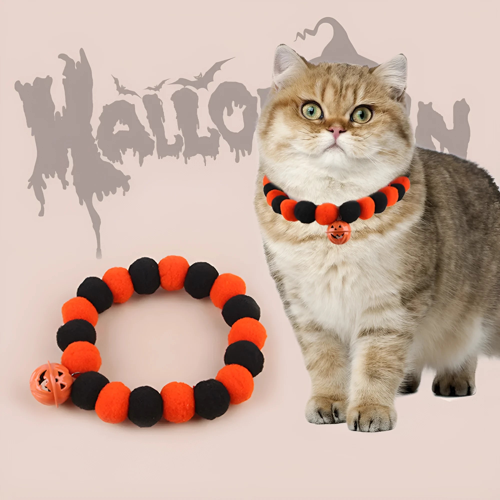 Orange Halloween cat collar with plastic pumpkin, ghost, and bat charms on a black strap.