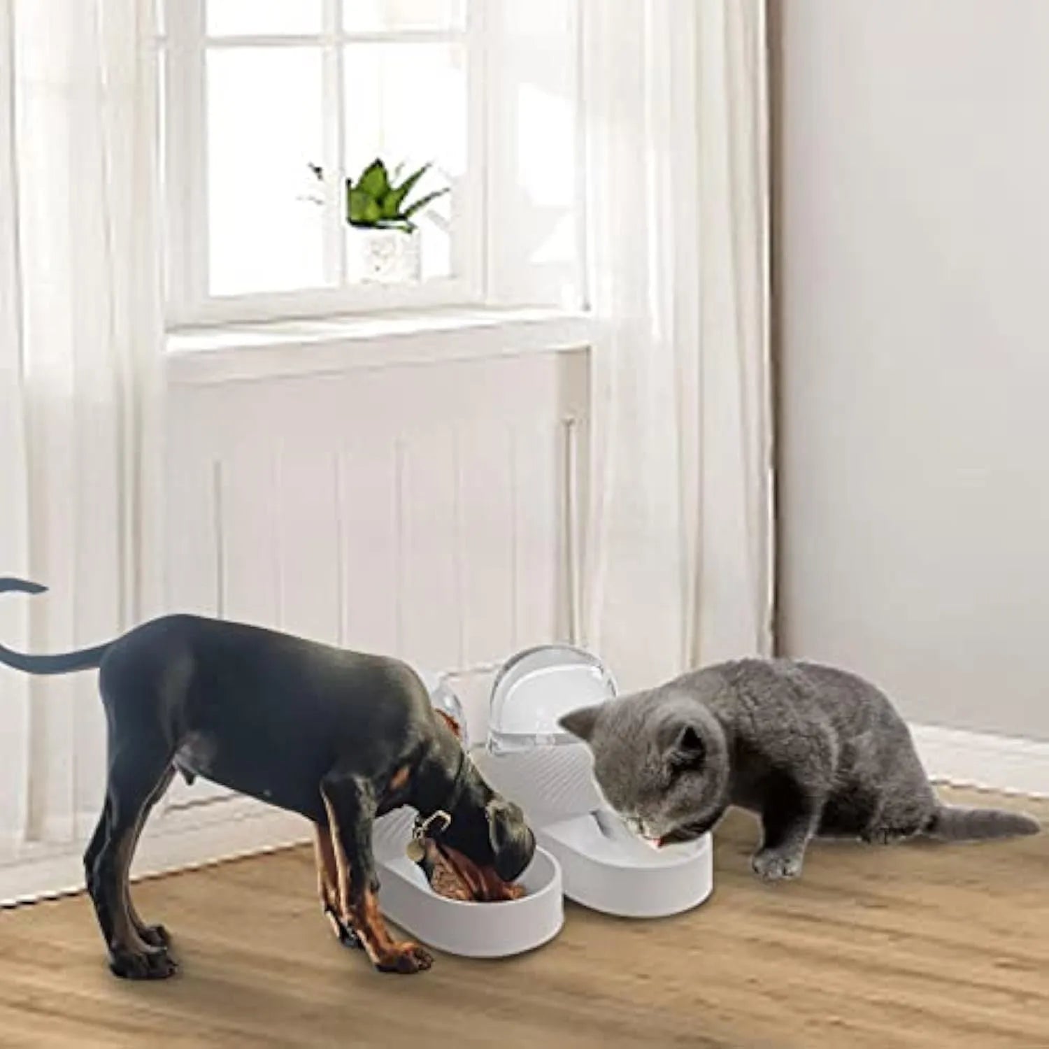 White plastic cat feeder and water dispenser set with wave-shaped design