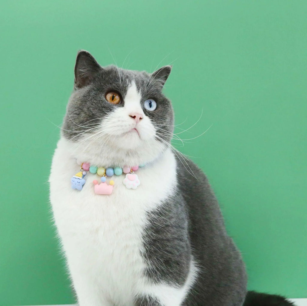 Colourful macaron-themed resin pet collar and matching bracelet set for cats and dogs.
