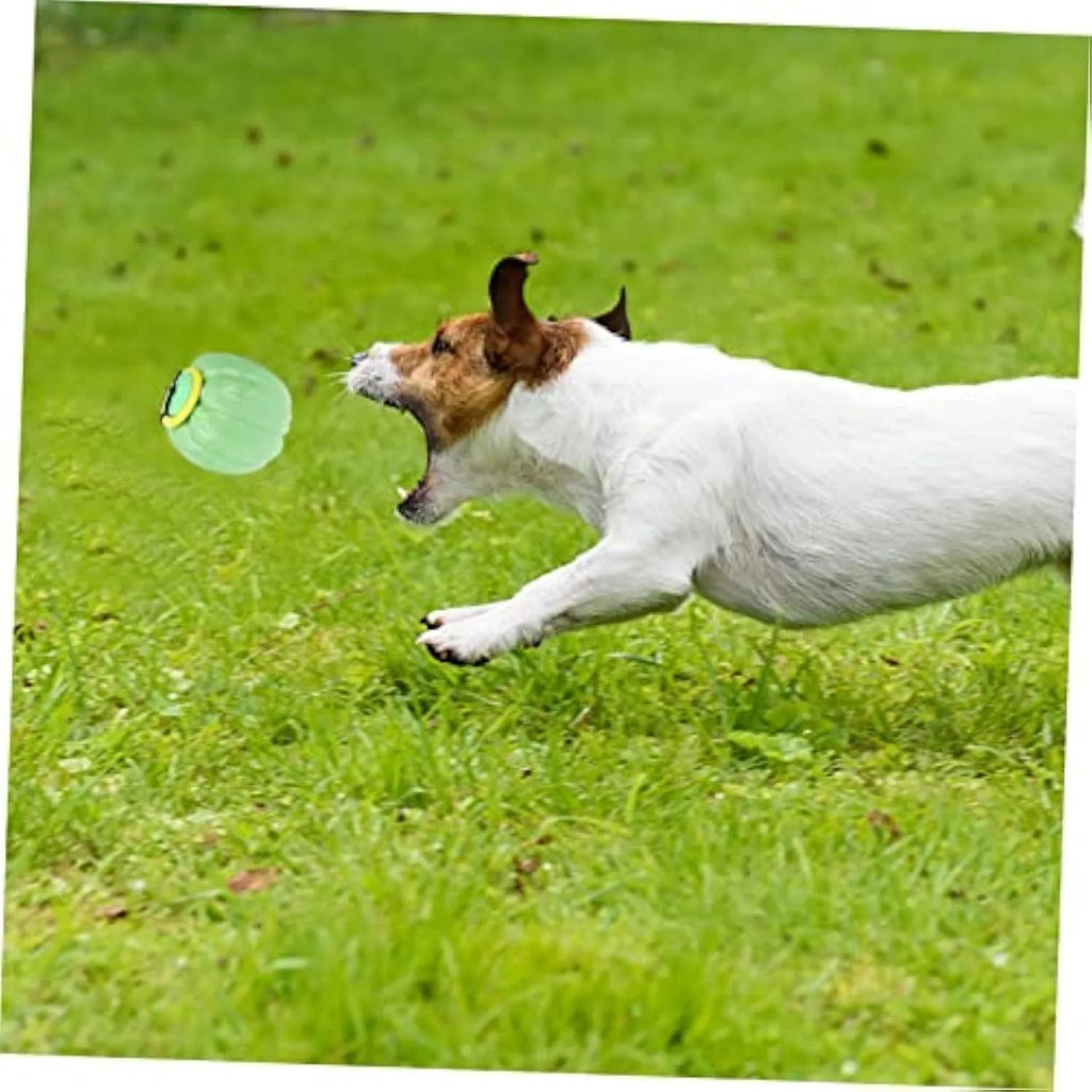 Green orange yellow plastic pumpkin dog chew toy with squeaker for small breeds