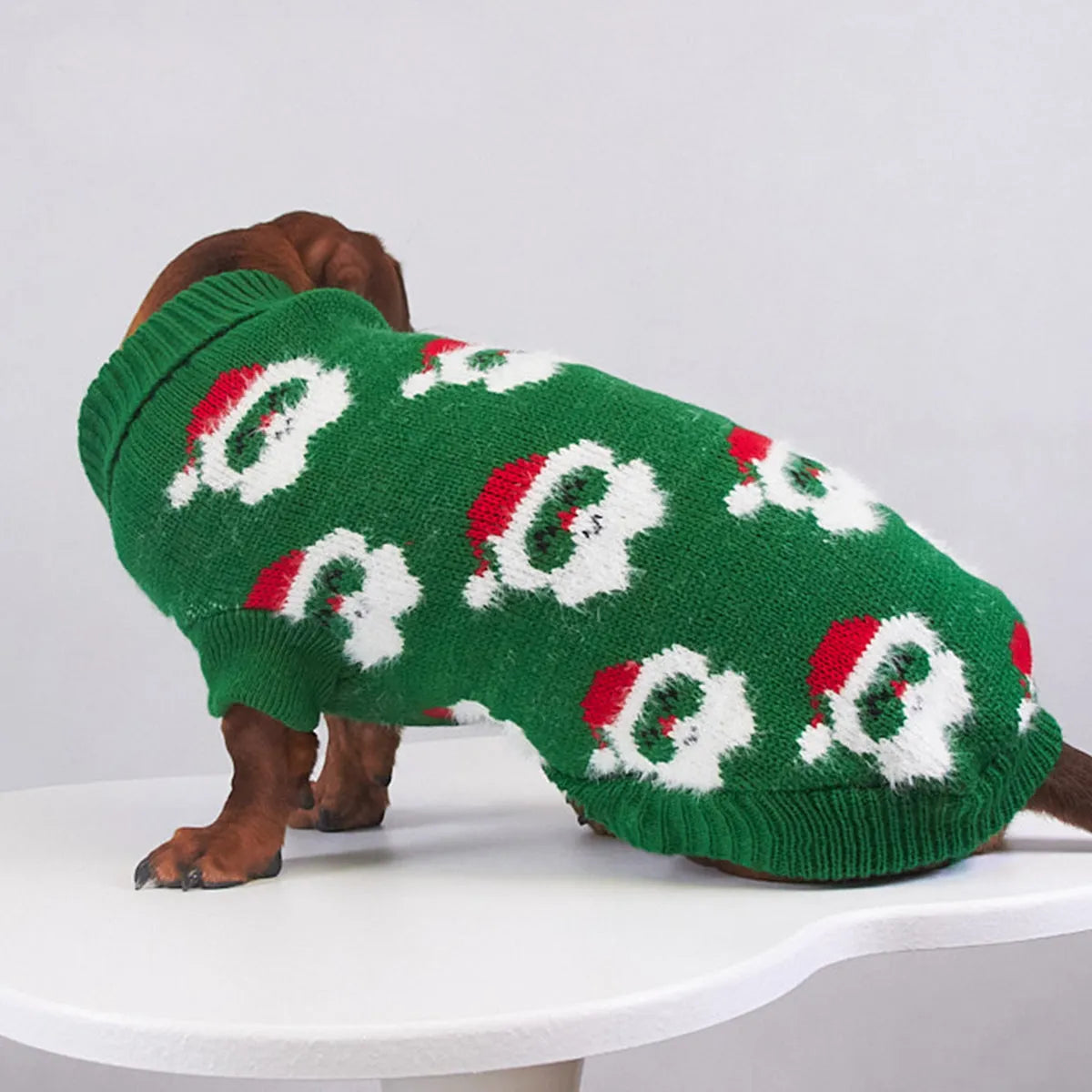 Pet Christmas mink sweater in green on a dog, casual style, soft lining for warmth