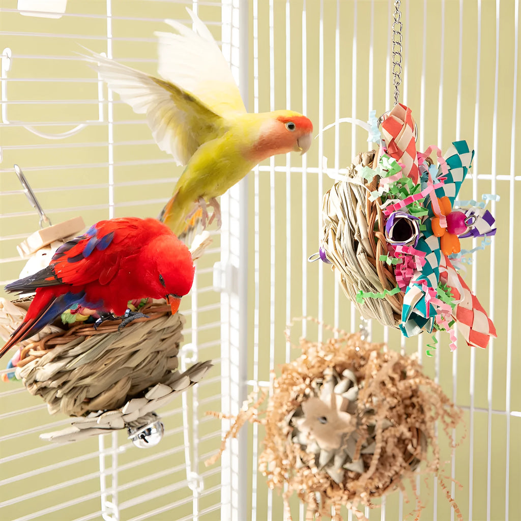 Natural wood parrot gnawing toy for medium to large birds with chewable perches